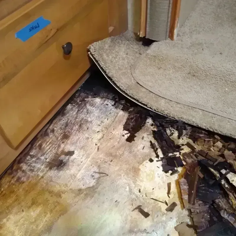 Wood Floor Water Damage in Spanish Springs, NV